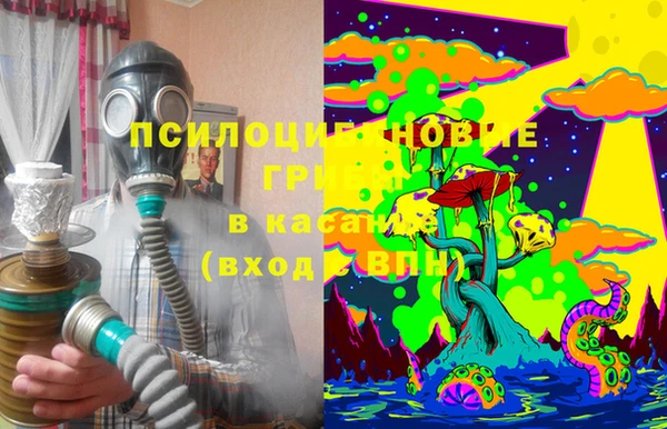 тгк Осинники