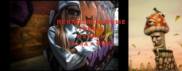 тгк Осинники
