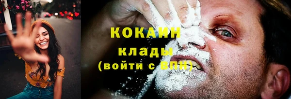PSILOCYBIN Осташков