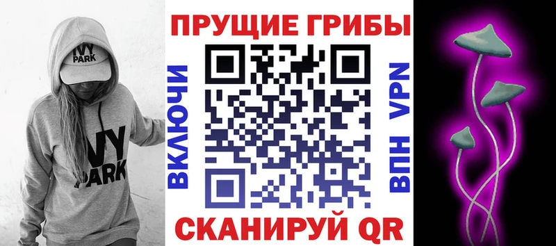 Псилоцибиновые грибы Magic Shrooms  где найти   Невельск 